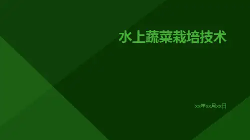 水上蔬菜栽培技术