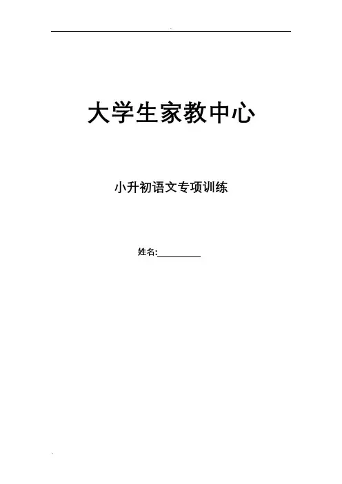 (完整版)小升初语文专项训练完整版