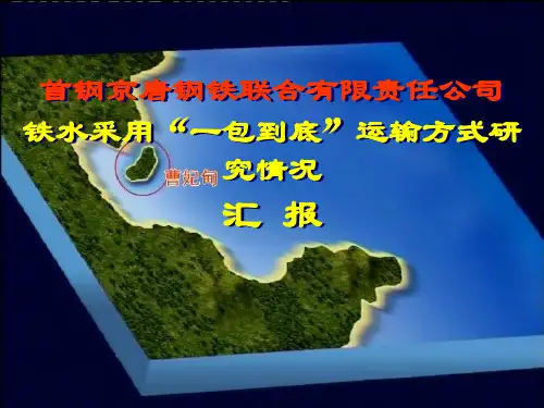 一包到底参考资料ppt课件