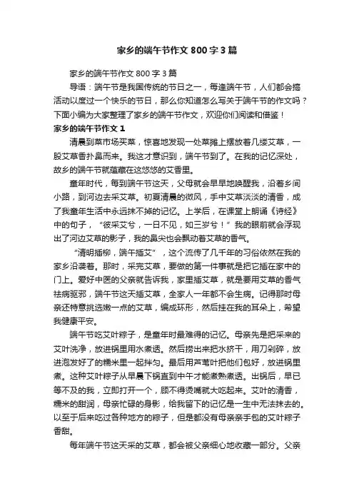 家乡的端午节作文800字3篇