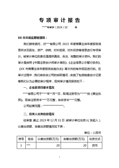 专项审计报告