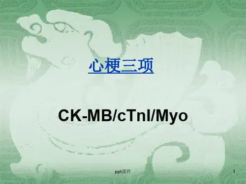 心梗三项  ppt课件
