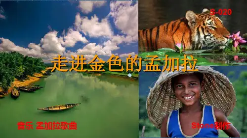 走进金色的孟加拉PPT课件