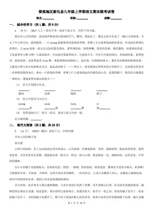 娄底地区新化县九年级上学期语文期末联考试卷