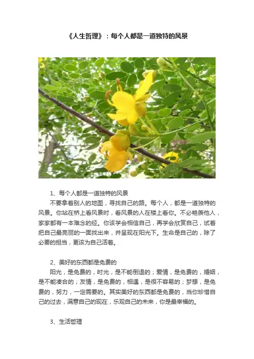《人生哲理》：每个人都是一道独特的风景