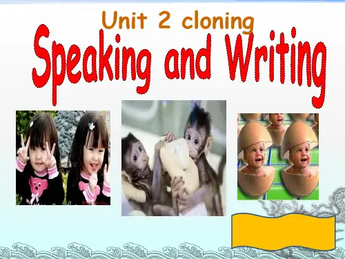 人教课标版高中英语选修8Unit2Using Language (共23张PPT)