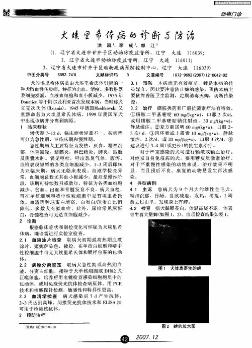 犬埃里希体病的诊断与防治