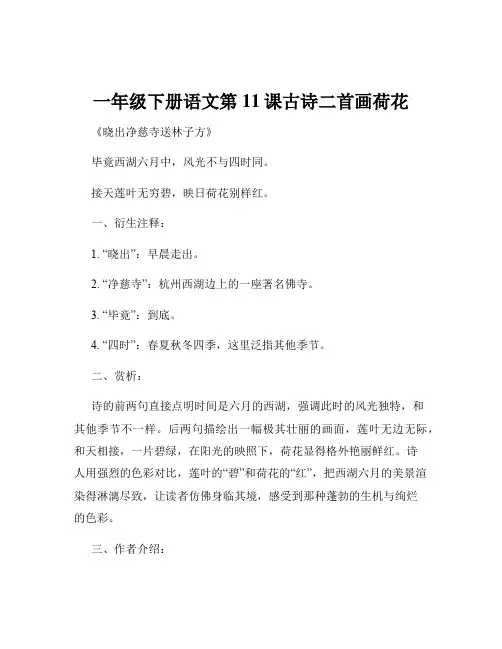 一年级下册语文第11课古诗二首画荷花