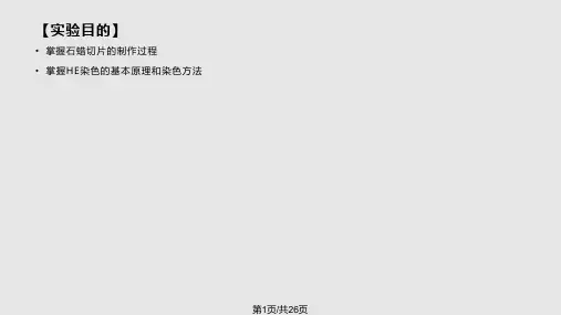 石蜡切片PPT课件