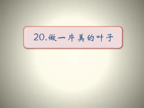 《做一片美的叶子》课件PPT