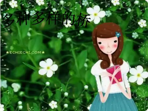 八年级上册综合实践——桥.ppt