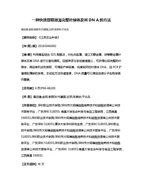 一种快速提取微藻完整叶绿体及其DN A的方法