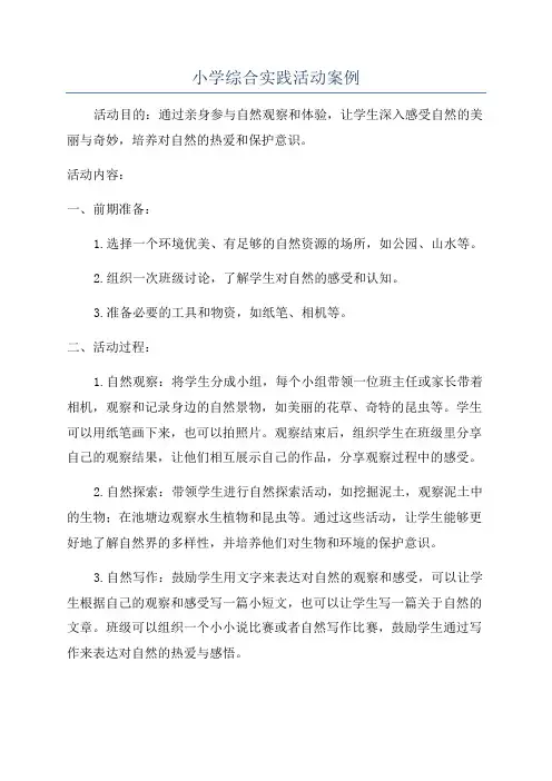 小学综合实践活动案例