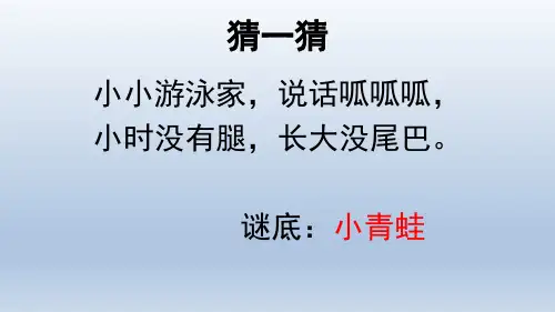 统编版一年级语文下册3小青蛙课件(共15张PPT)