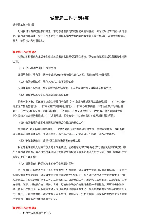 城管局工作计划4篇