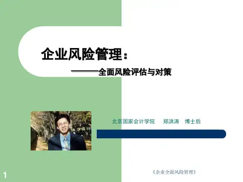 企业风险管理之全面风险评估与对策课件ppt72