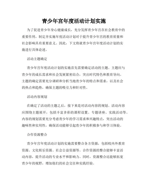 青少年宫年度活动计划实施