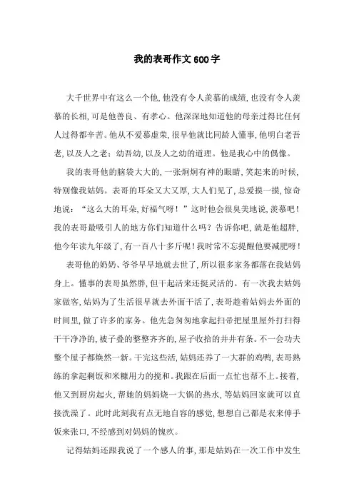 我的表哥作文600字