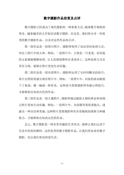 数字摄影作品欣赏及点评