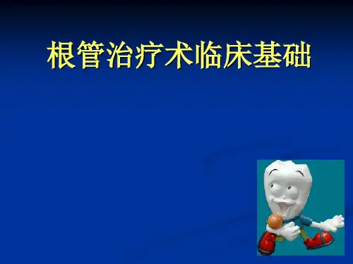 根管治疗基础PPT课件