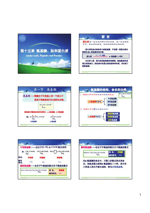 氨基酸肽和蛋白质