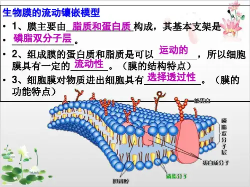人教生物必修第物质跨膜运输的方式_-ppt精品课件