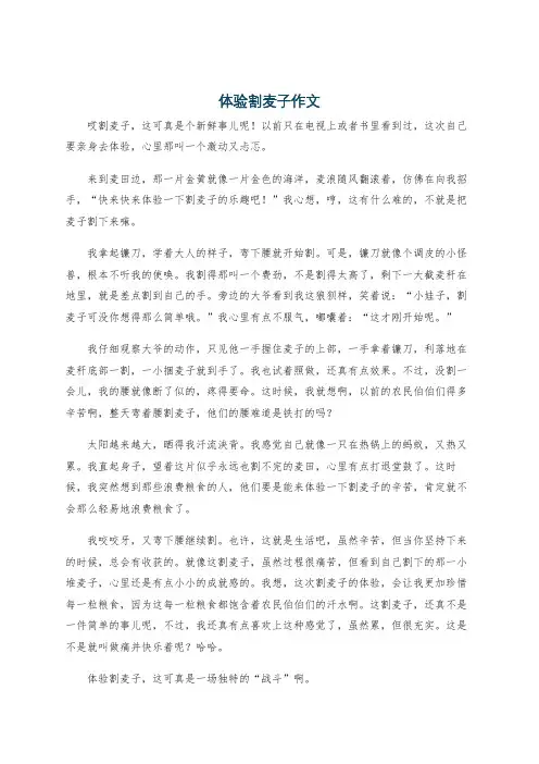体验割麦子作文