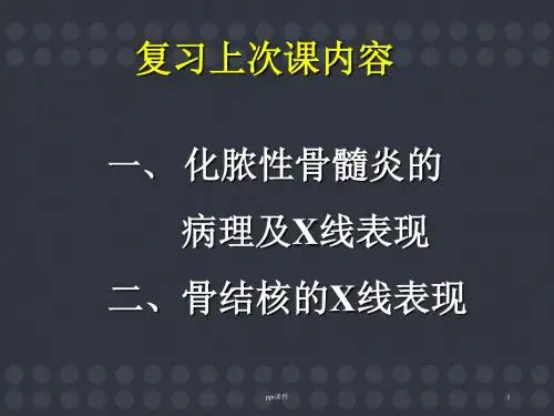化脓性骨髓炎的病理  ppt课件