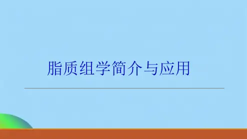 脂质组学简介与应用ppt(共19张PPT)