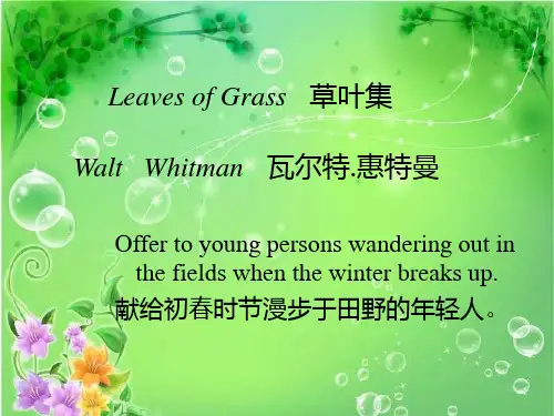 leaves of grass 草叶集