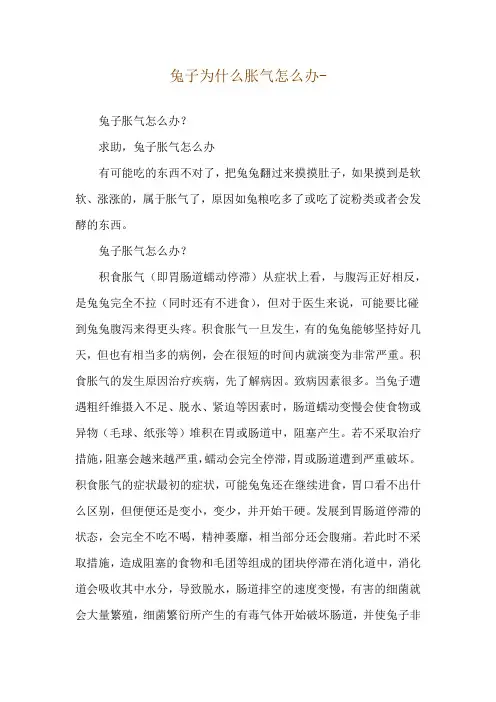 兔子为什么胀气怎么办--兔子胀气怎么办？