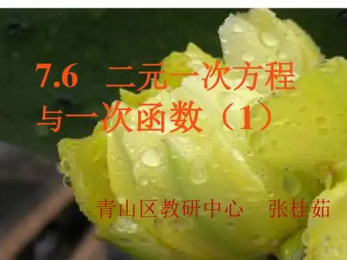 二元一次方程组与一次函数课件(张)