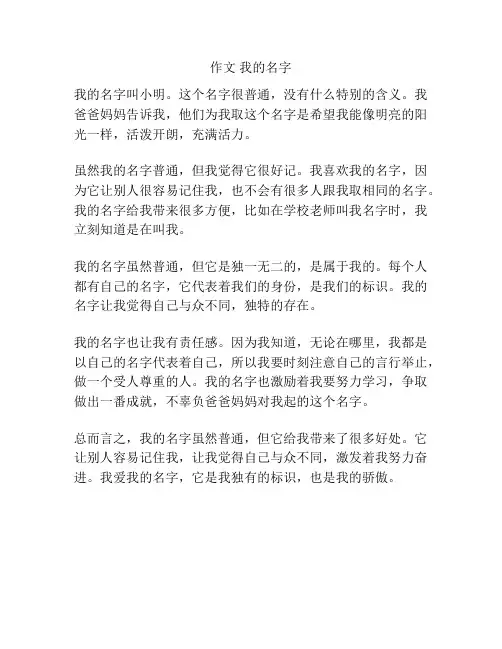 作文 我的名字