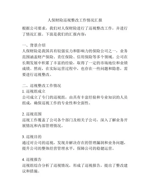 人保财险巡视整改工作情况汇报