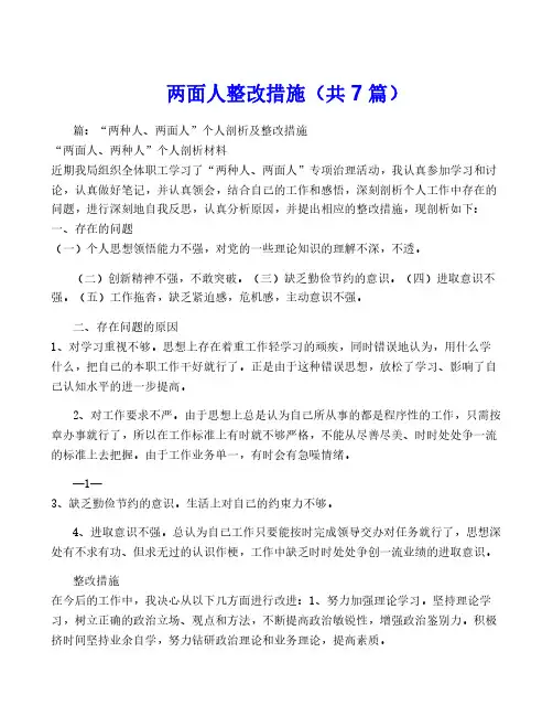 两面人整改措施(共7篇)