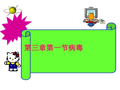 鲁科版生物八年级生物圈中的微生物复习课件1
