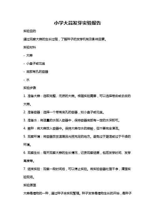 小学大蒜发芽实验报告