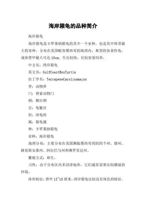 海岸箱龟的品种简介