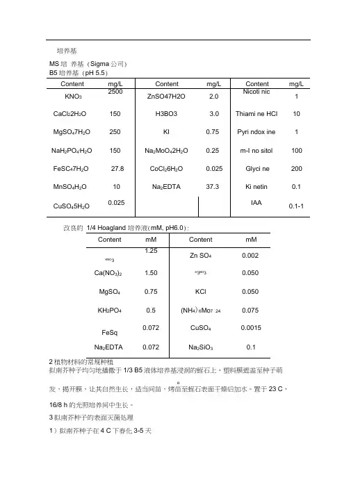 拟南芥种植及处理基本方法