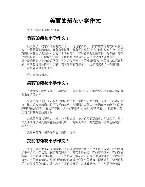 美丽的菊花小学作文