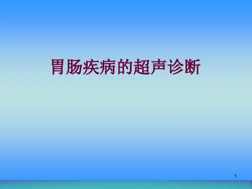 胃肠疾病的超声诊断ppt课件