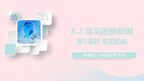 九年级化学下册 第八章 常见的酸、碱、盐8