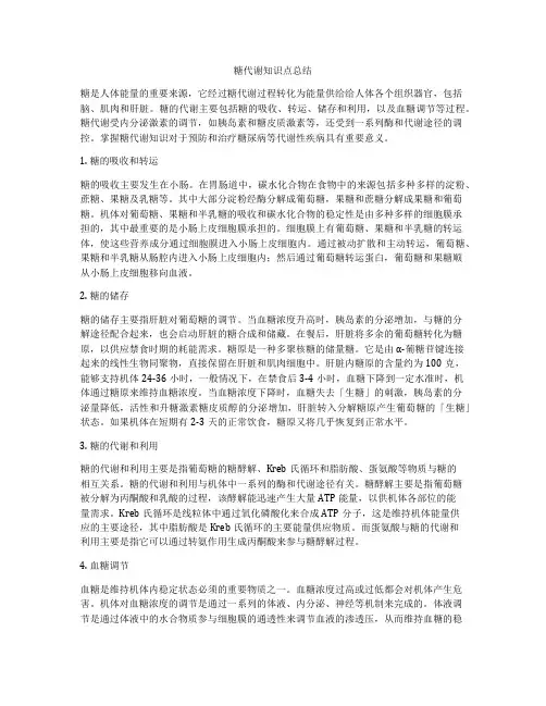 糖代谢知识点总结