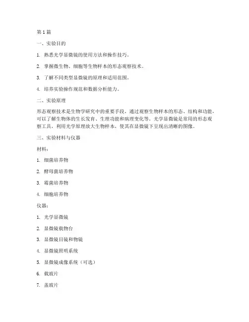 形态观察技术实验报告(3篇)