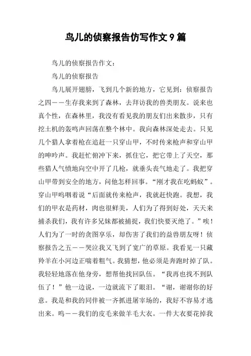 鸟儿的侦察报告仿写作文9篇