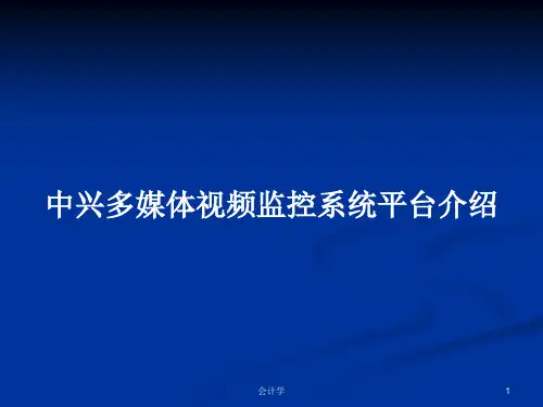 中兴多媒体视频监控系统平台介绍PPT学习教案