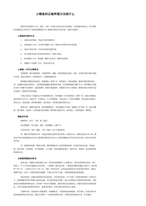 小鲤鱼的正确养殖方法是什么