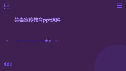 禁毒宣传教育ppt课件