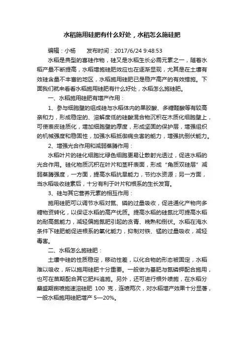 水稻施用硅肥有什么好处，水稻怎么施硅肥