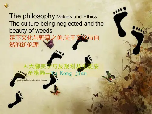 俞孔坚解析